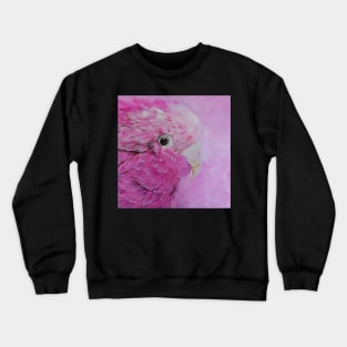 Galah - Australian Native Bird Crewneck Sweatshirt